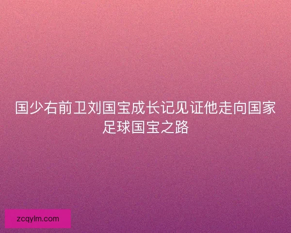 国少右前卫刘国宝成长记见证他走向国家足球国宝之路