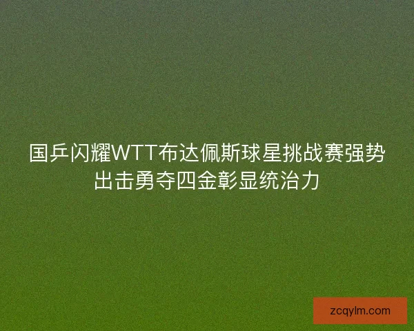 国乒闪耀WTT布达佩斯球星挑战赛强势出击勇夺四金彰显统治力